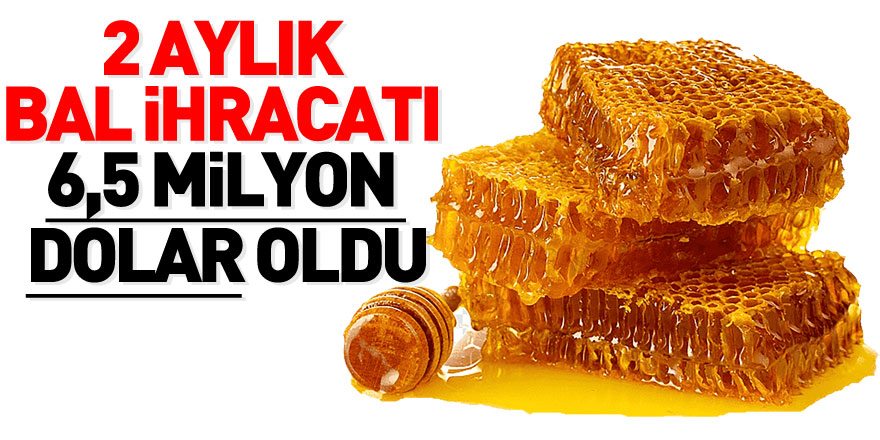 2 aylık bal ihracatı 6,5 milyon dolar oldu