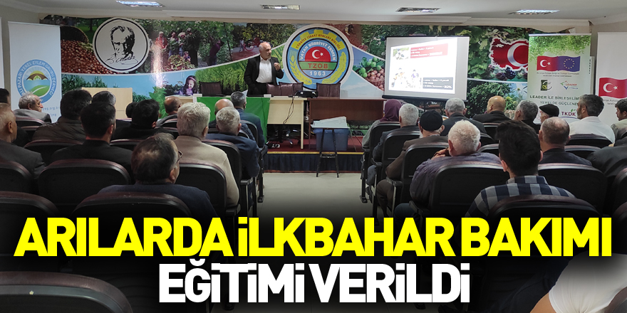 Salıpazarı'nda arı yetiştiricilerine arılarda ilkbahar bakımı eğitimi verildi