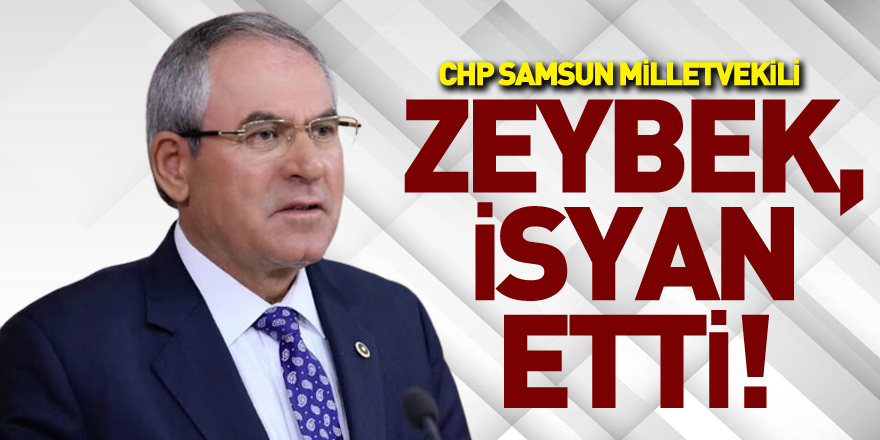 ZEYBEK, İSYAN ETTİ!