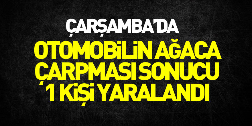 Otomobilin ağaca çarpması sonucu 1 kişi yaralandı