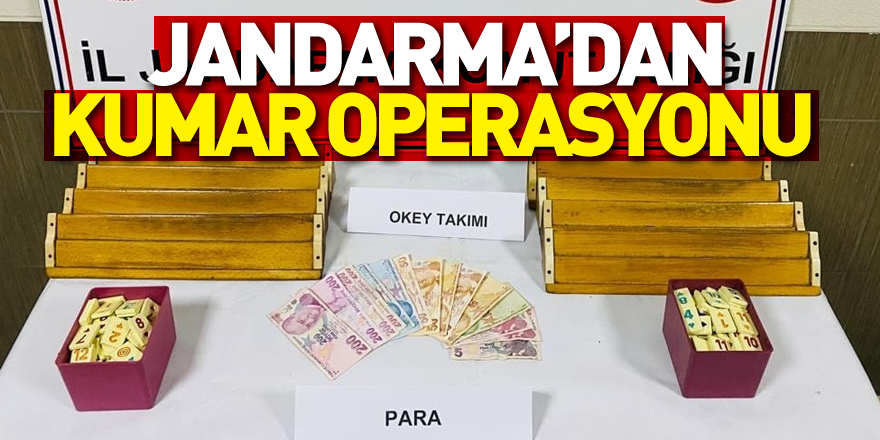 Jandarma’dan kumar operasyonu