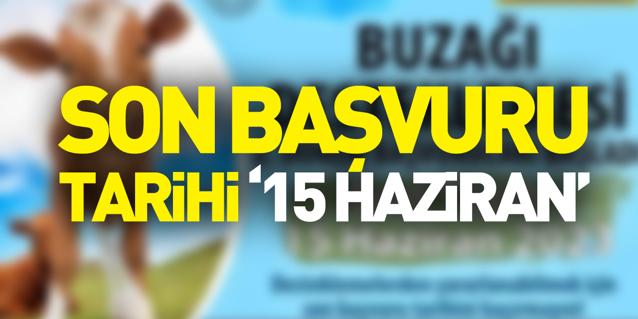 Son Başvuru Tarihi ‘15 Haziran’