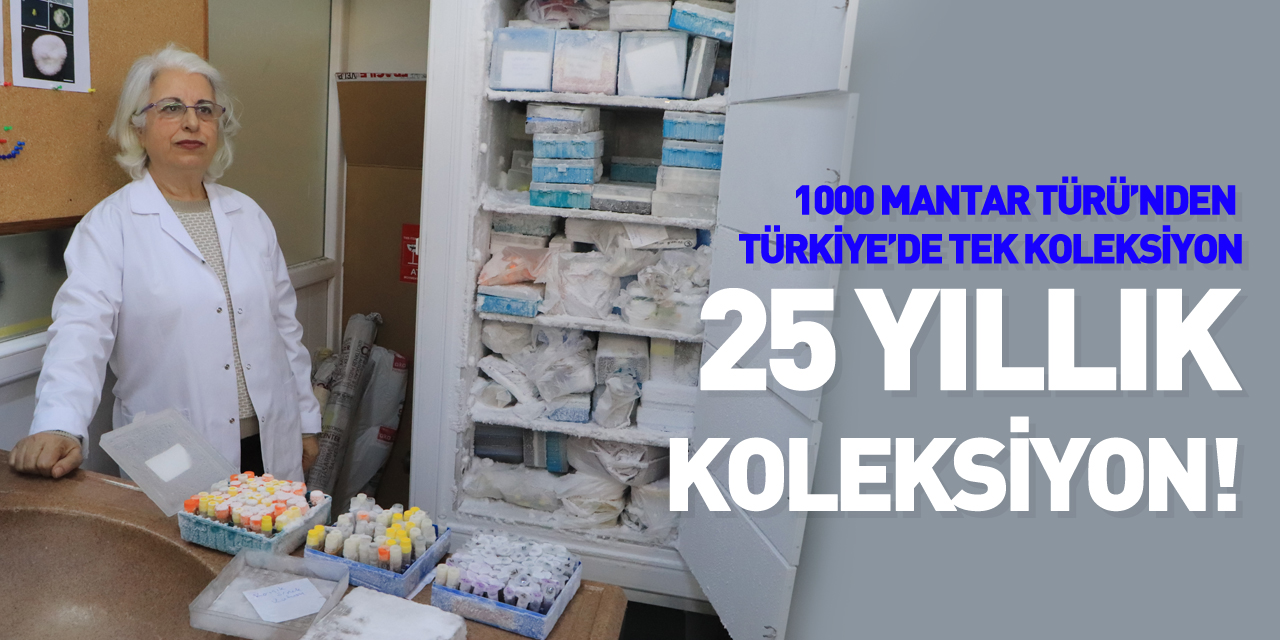 Türkiye için çok önemli bir mantar koleksiyonu: 25 yılda doğadan toplandı