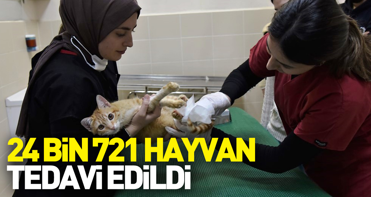 2022 yılında 24 bin 721 hayvan tedavi edildi