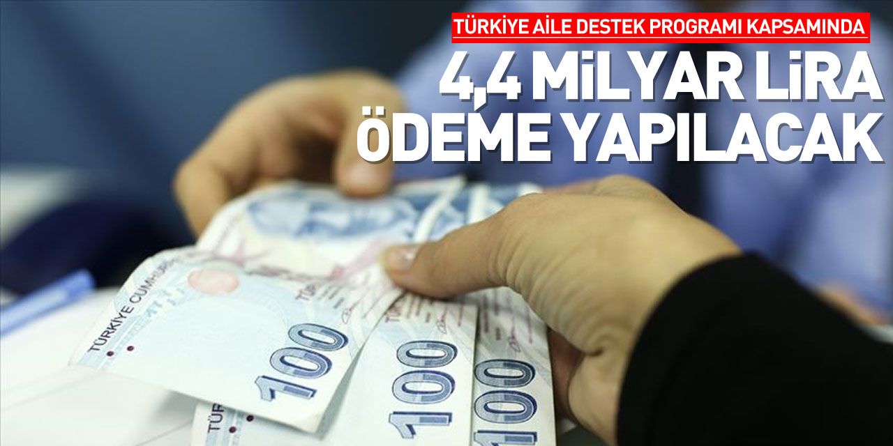 Türkiye Aile Destek Programı kapsamında 4,4 milyar lira ödeme yapılacak