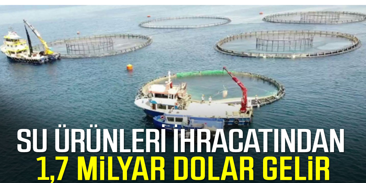 Su ürünleri ihracatından 1,7 milyar dolar gelir elde edildi