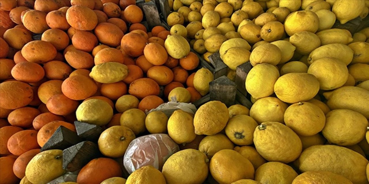 Narenciye ihracatında yılın ilk çeyreğini mandalina ve limon sırtladı