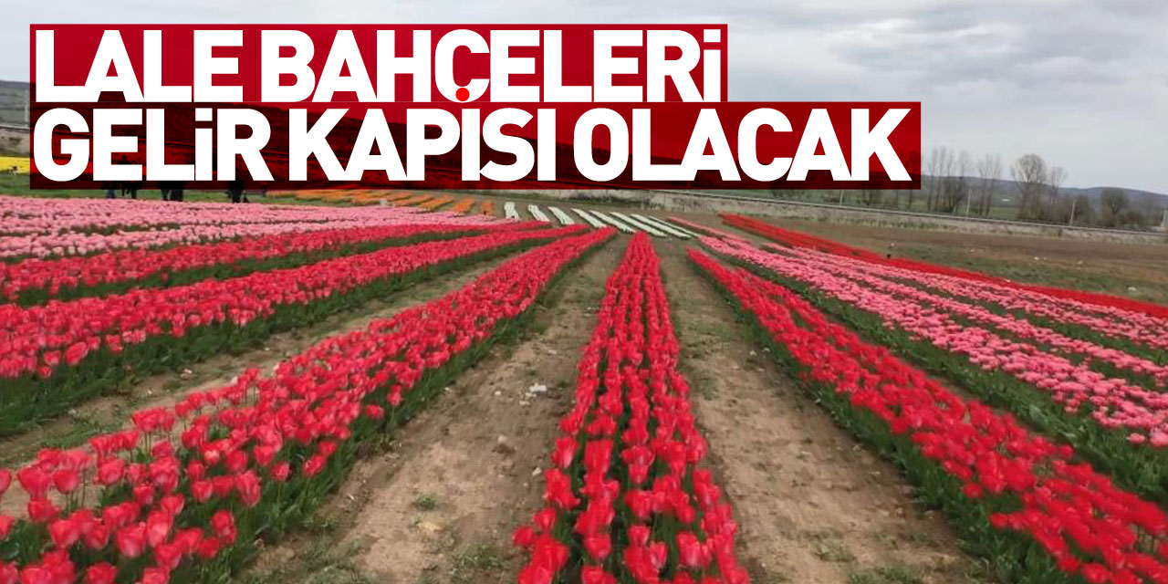 kartpostallık lale bahçeleri gelir kapısı olacak