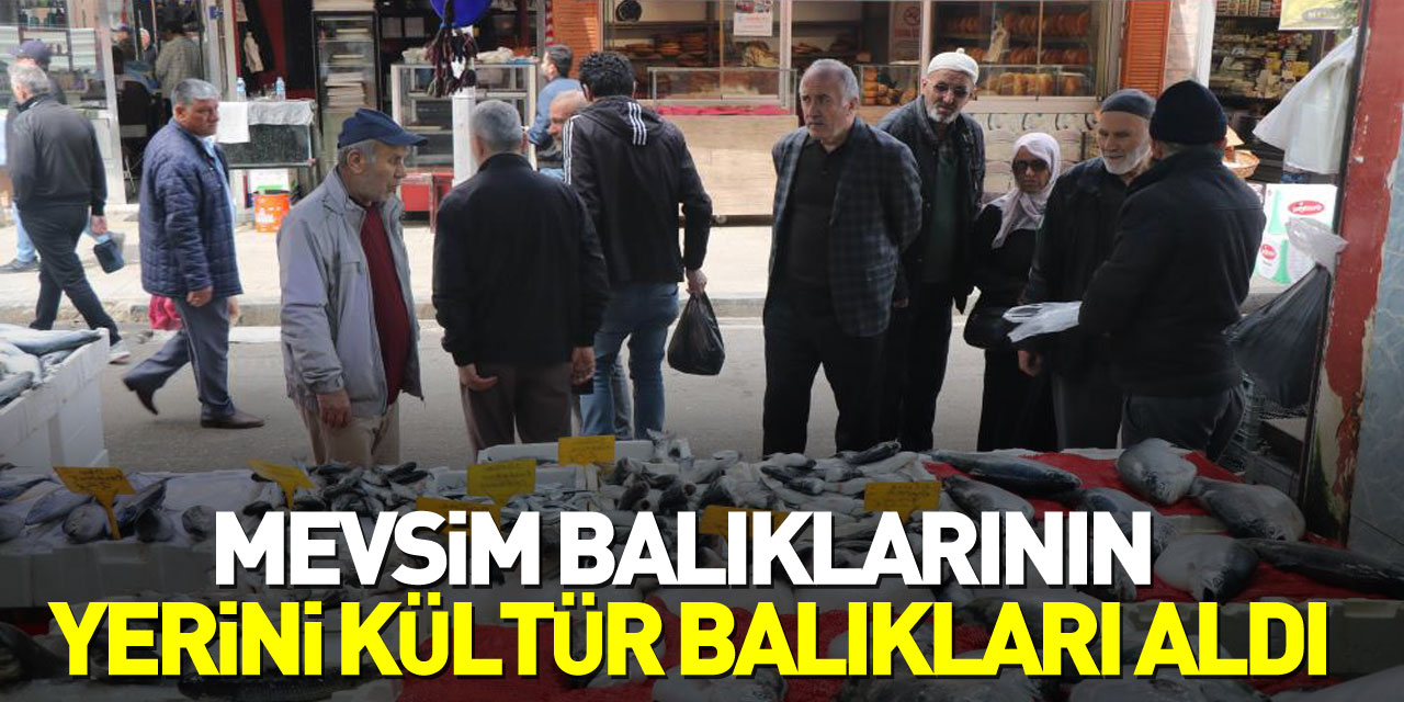 Mevsim balıklarının yerini kültür balıkları aldı