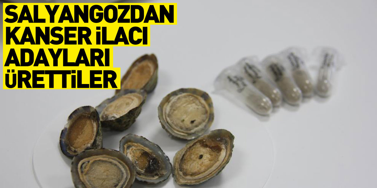 Deniz salyangozundan kanser ilacı adayları ürettiler