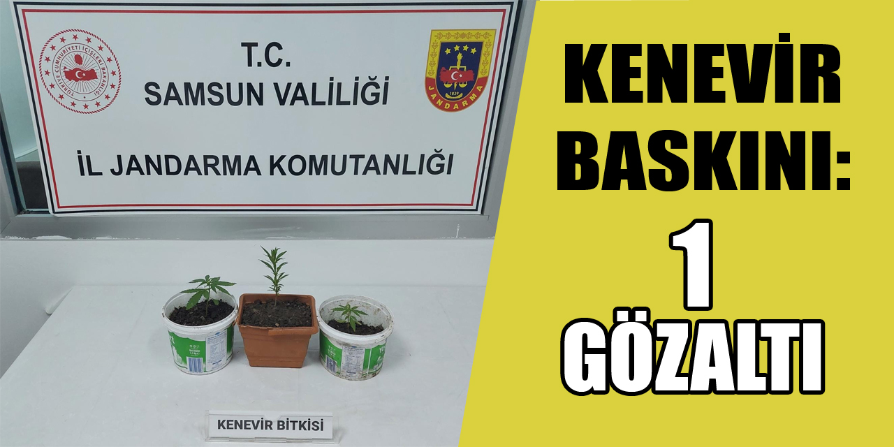 Kenevir baskını:1 gözaltı