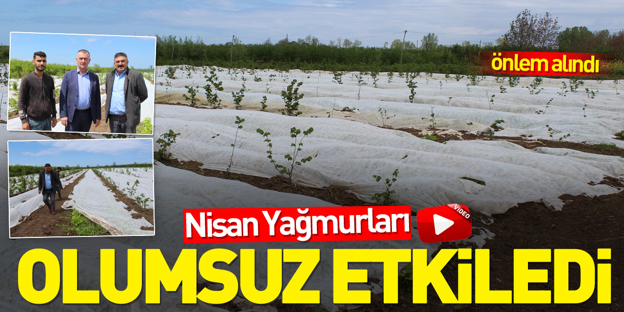 NİSAN YAĞMURLARI OLUMSUZ ETKİLEDİ