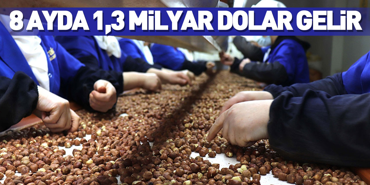 Türkiye fındık ihracatından 8 ayda 1,3 milyar doları aşkın gelir elde etti
