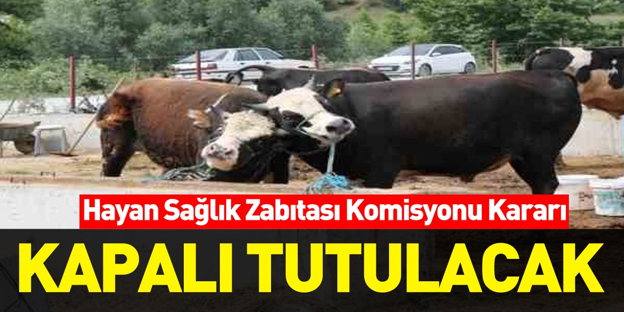 Samsun Hayvan Sağlık Zabıtası Komisyonu kararı: Hayvan pazarı satış yerleri kapalı tutulacak