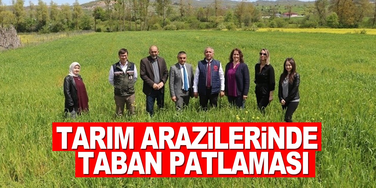 Tarım arazilerinde taban patlatmasının önemi