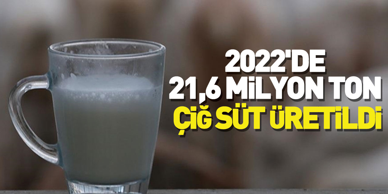 Türkiye'de 2022'de 21,6 milyon ton çiğ süt üretildi