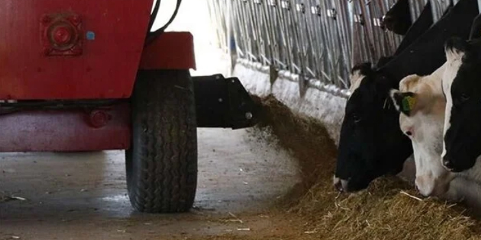 Tarım ve Orman Bakanı Kirişci'den düve alım desteği açıklaması