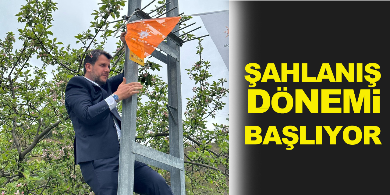 Şahlanış dönemi başlıyor