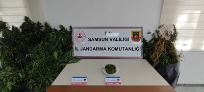 jandarmadan-kenevir-baskini-1.jpg